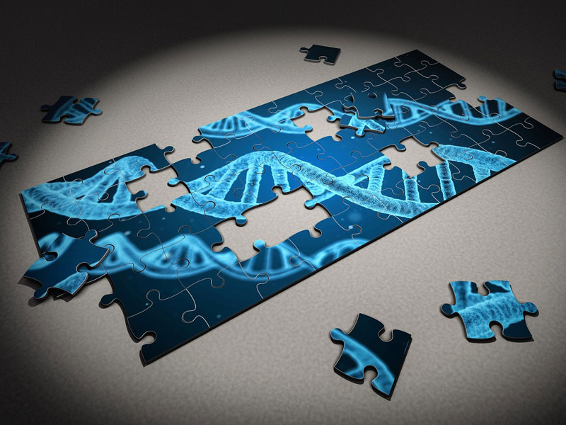 NHGRI Proposes Action Agenda for Building Diverse Genomics Workforce