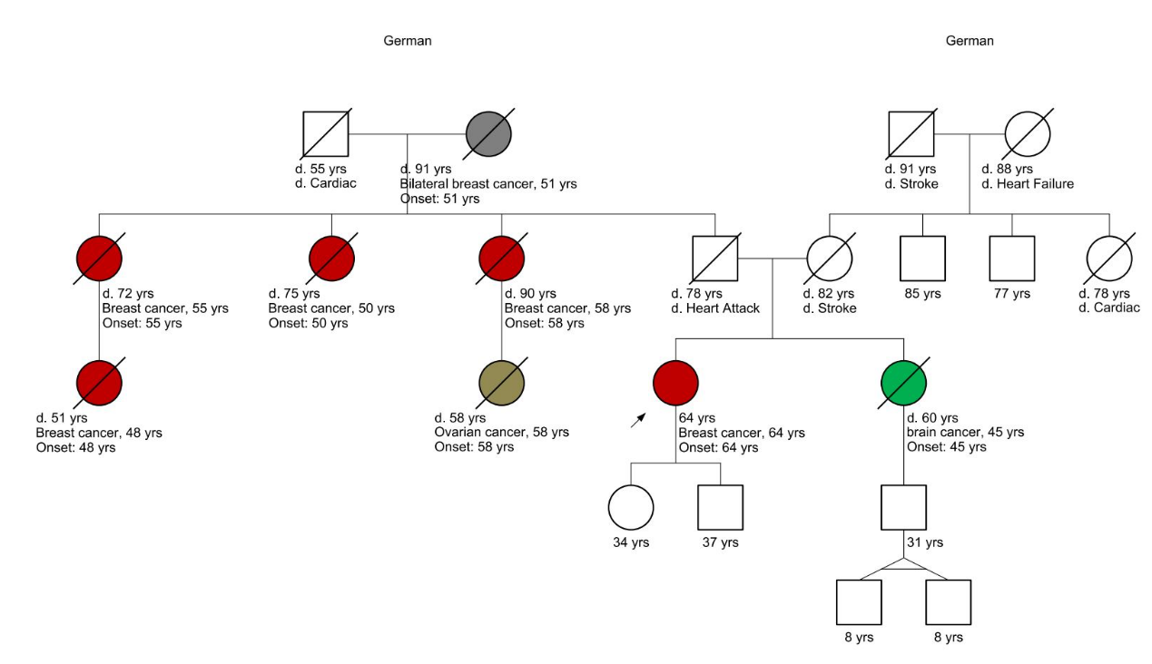 Patient Pedigree