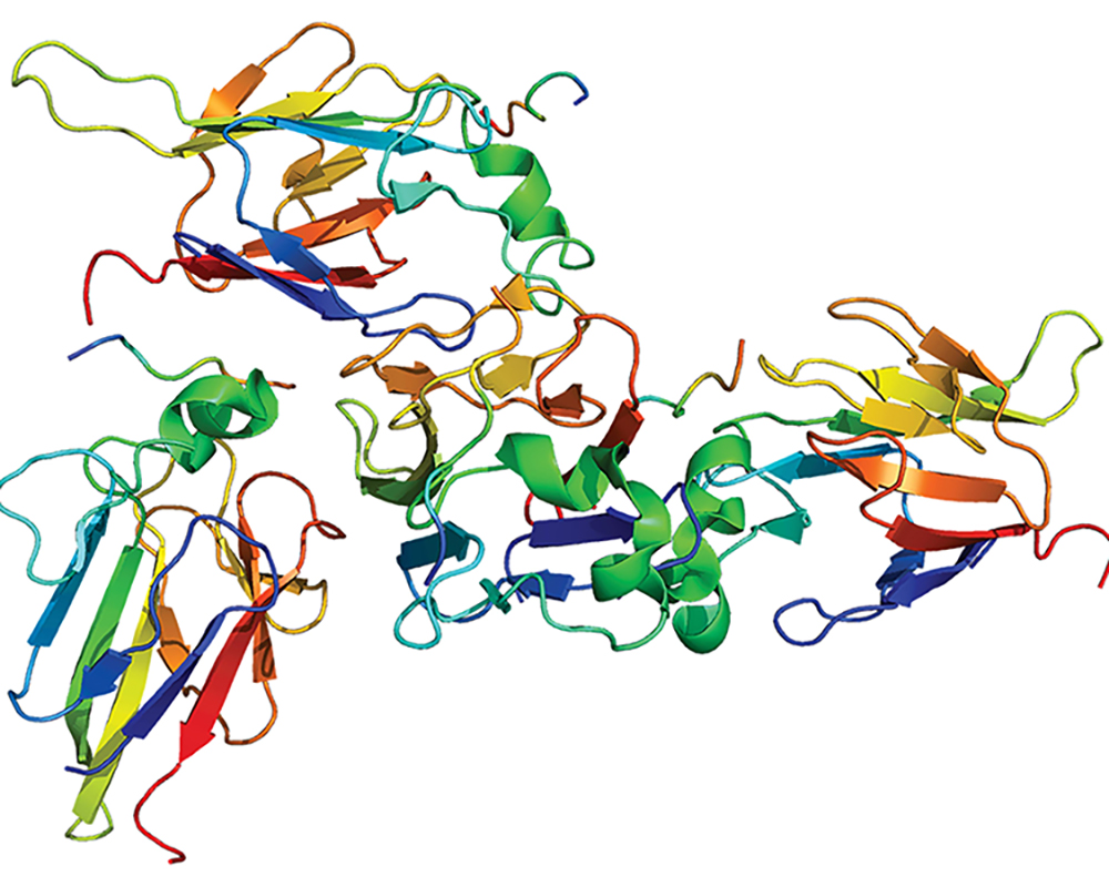 Genetic Disorder Reference Sheet: CHEK2 Gene Pathogenic Variants