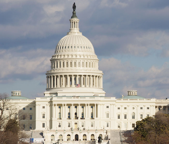 Capitol building in Washington D.C.