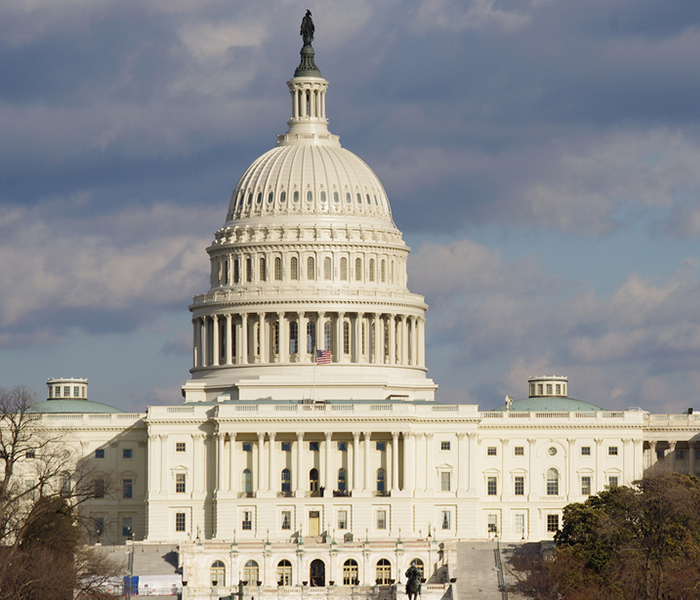 Capitol Building in Washington D.C.